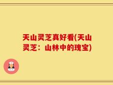 天山灵芝真好看(天山灵芝：山林中的瑰宝)