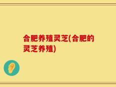 合肥养殖灵芝(合肥的灵芝养殖)