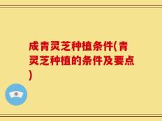 成青灵芝种植条件(青灵芝种植的条件及要点)