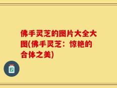 佛手灵芝的图片大全大图(佛手灵芝：惊艳的合体之美)
