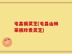 屯昌摘灵芝(屯昌山林采摘珍贵灵芝)