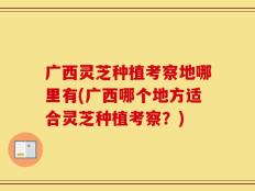 广西灵芝种植考察地哪里有(广西哪个地方适合灵芝种植考察？)