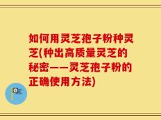 如何用灵芝孢子粉种灵芝(种出高质量灵芝的秘密——灵芝孢子粉的正确使用方法)