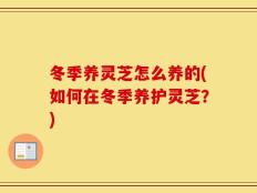 冬季养灵芝怎么养的(如何在冬季养护灵芝？)
