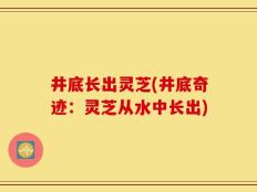 井底长出灵芝(井底奇迹：灵芝从水中长出)