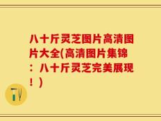 八十斤灵芝图片高清图片大全(高清图片集锦：八十斤灵芝完美展现！)