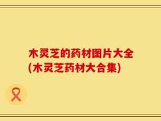 木灵芝的药材图片大全(木灵芝药材大合集)