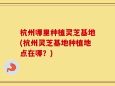 杭州哪里种植灵芝基地(杭州灵芝基地种植地点在哪？)