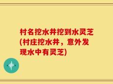 村名挖水井挖到水灵芝(村庄挖水井，意外发现水中有灵芝)