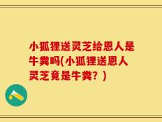 小狐狸送灵芝给恩人是牛粪吗(小狐狸送恩人灵芝竟是牛粪？)