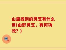 山里找到的灵芝有什么用(山野灵芝，有何功效？)