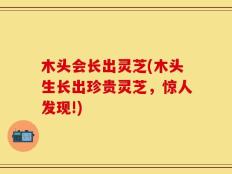 木头会长出灵芝(木头生长出珍贵灵芝，惊人发现!)
