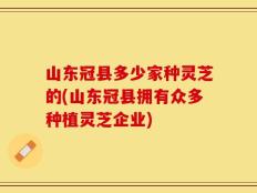 山东冠县多少家种灵芝的(山东冠县拥有众多种植灵芝企业)