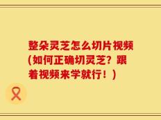 整朵灵芝怎么切片视频(如何正确切灵芝？跟着视频来学就行！)