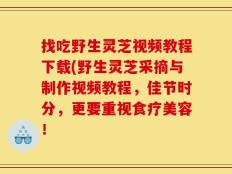 找吃野生灵芝视频教程下载(野生灵芝采摘与制作视频教程，佳节时分，更要重视食疗美容！