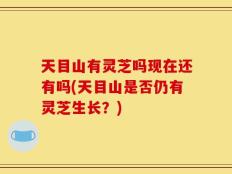 天目山有灵芝吗现在还有吗(天目山是否仍有灵芝生长？)