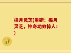 摇月灵芝(重磅：摇月灵芝，神奇功效惊人！)