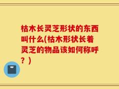 枯木长灵芝形状的东西叫什么(枯木形状长着灵芝的物品该如何称呼？)