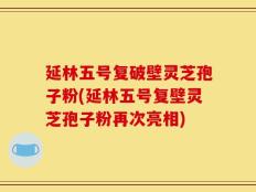 延林五号复破壁灵芝孢子粉(延林五号复壁灵芝孢子粉再次亮相)