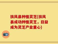 扶风县种植灵芝(扶风县成功种植灵芝，日益成为灵芝产业重心)