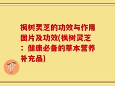 枫树灵芝的功效与作用图片及功效(枫树灵芝：健康必备的草本营养补充品)