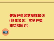 普及野生灵芝基础知识(野生灵芝：常见种类和功效简介)