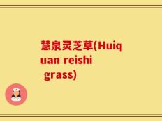慧泉灵芝草(Huiquan reishi grass)