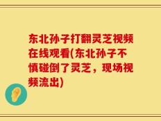 东北孙子打翻灵芝视频在线观看(东北孙子不慎碰倒了灵芝，现场视频流出)