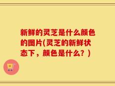 新鲜的灵芝是什么颜色的图片(灵芝的新鲜状态下，颜色是什么？)