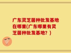 广东灵芝菌种批发基地在哪里(广东哪里有灵芝菌种批发基地？)