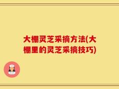 大棚灵芝采摘方法(大棚里的灵芝采摘技巧)