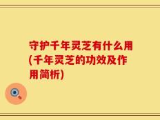 守护千年灵芝有什么用(千年灵芝的功效及作用简析)