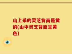 山上采的灵芝背面是黄的(山中灵芝背面呈黄色)