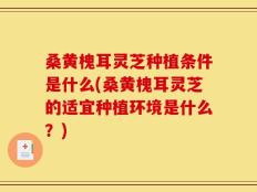 桑黄槐耳灵芝种植条件是什么(桑黄槐耳灵芝的适宜种植环境是什么？)