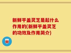 新鲜平盖灵芝是起什么作用的(新鲜平盖灵芝的功效及作用简介)