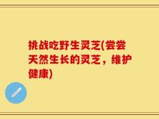挑战吃野生灵芝(尝尝天然生长的灵芝，维护健康)