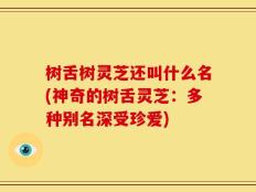 树舌树灵芝还叫什么名(神奇的树舌灵芝：多种别名深受珍爱)