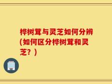 桦树茸与灵芝如何分辨(如何区分桦树茸和灵芝？)