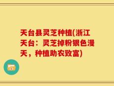 天台县灵芝种植(浙江天台：灵芝掉粉银色漫天，种植助农致富)