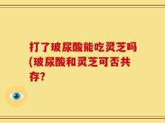 打了玻尿酸能吃灵芝吗(玻尿酸和灵芝可否共存？