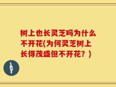 树上也长灵芝吗为什么不开花(为何灵芝树上长得茂盛但不开花？)