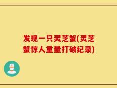 发现一只灵芝蟹(灵芝蟹惊人重量打破纪录)