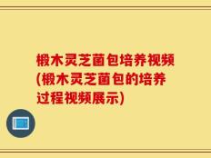 椴木灵芝菌包培养视频(椴木灵芝菌包的培养过程视频展示)