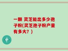 一颗 灵芝能出多少孢子粉(灵芝孢子粉产量有多大？)