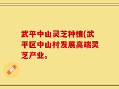 武平中山灵芝种植(武平区中山村发展高端灵芝产业。