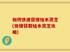 如何快速获得枯木灵芝(快捷获取枯木灵芝攻略)