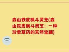 森山铁皮枫斗灵芝(森山铁皮枫斗灵芝：一种珍贵草药的天然宝藏)