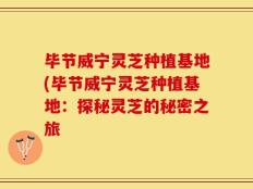 毕节威宁灵芝种植基地(毕节威宁灵芝种植基地：探秘灵芝的秘密之旅