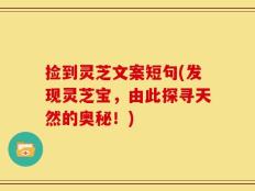 捡到灵芝文案短句(发现灵芝宝，由此探寻天然的奥秘！)