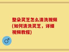 整朵灵芝怎么清洗视频(如何清洗灵芝，详细视频教程)